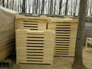 【幼兒園實木床山東藝貝幼兒園實木桌椅兒童床廠家炭燒積木廠家】-