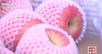 記者探秘 水果價格為何比肉貴？果市‘漲聲一片’背后真相解密